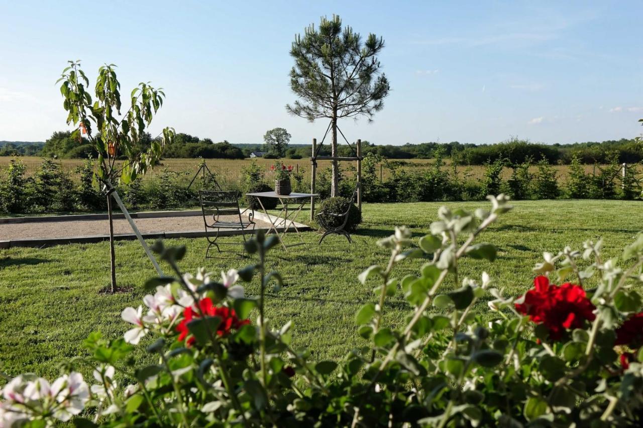 Le Montillon Tour-en-Sologne Εξωτερικό φωτογραφία